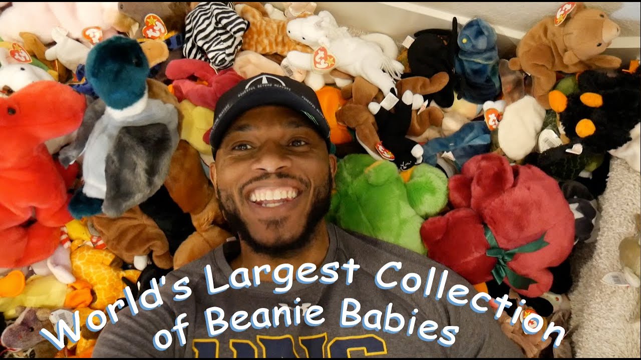 World's 🌎 Largest Beanie Baby 🐻 Collection