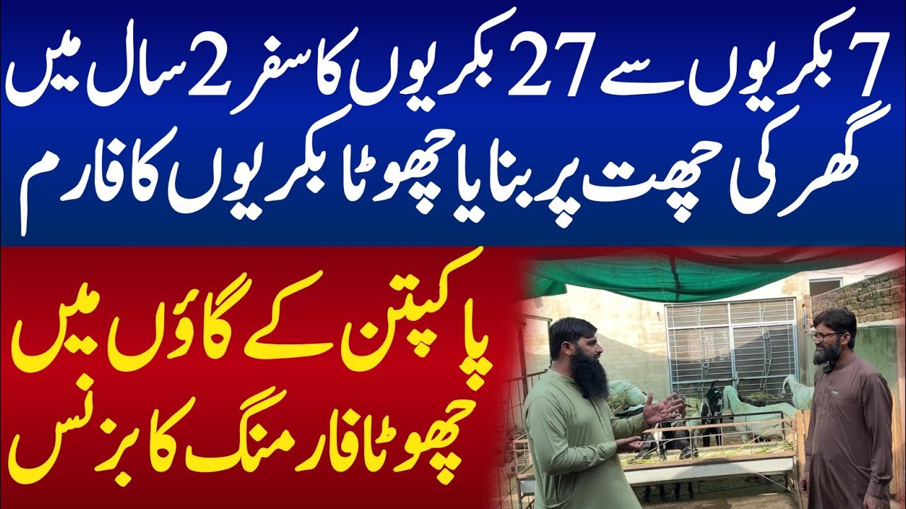Small Goat Farming Business idea in Pakistan 2026