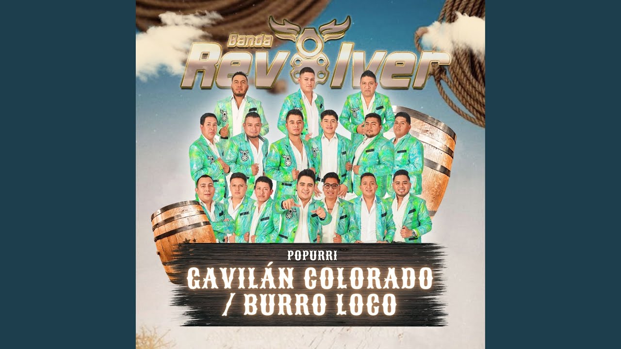 Gavilán Colorado / Burro Loco (En Vivo)