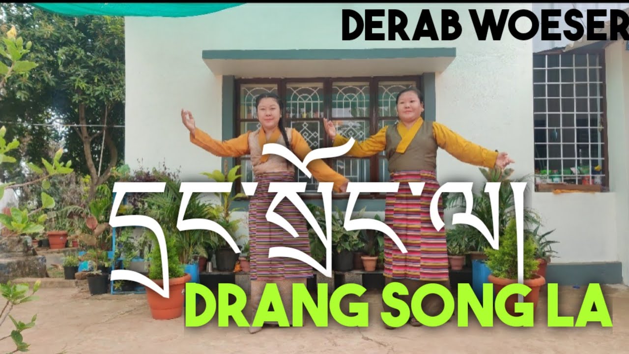 དྲང་སྲོང་ལ། Drang song La ||Tibetan Circle Dance || Gorshay || Tibetan vlogger|| Holiday vlog#23