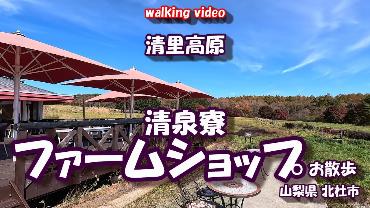 「清泉寮ファームショップ」散歩 【4Kお散歩シリーズ】 清里高原 山梨県北杜市 25年11月04日