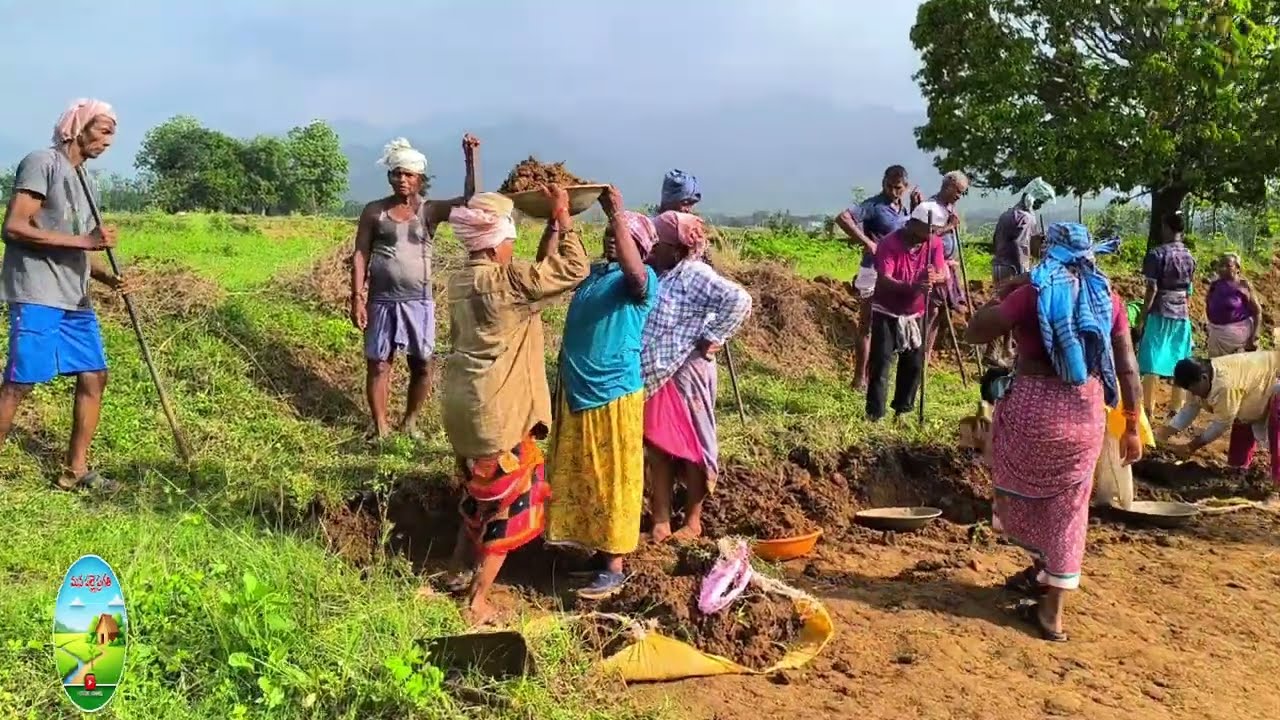 ​ఏజెన్సీ ఏరియాలో ఉపాధి పనులు ఎలా ఉంటాయి? - ల్యాండ్ లెవెలింగ్ #mgnrega #youtube #shortvideo #hardwork