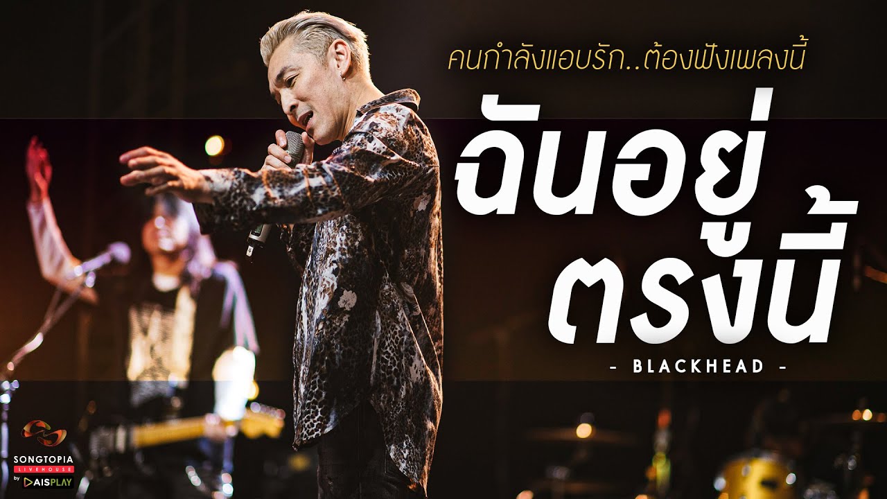 ฉันอยู่ตรงนี้ - Blackhead | คนกำลังแอบรัก..ต้องฟังเพลงนี้ | Songtopia Livehouse