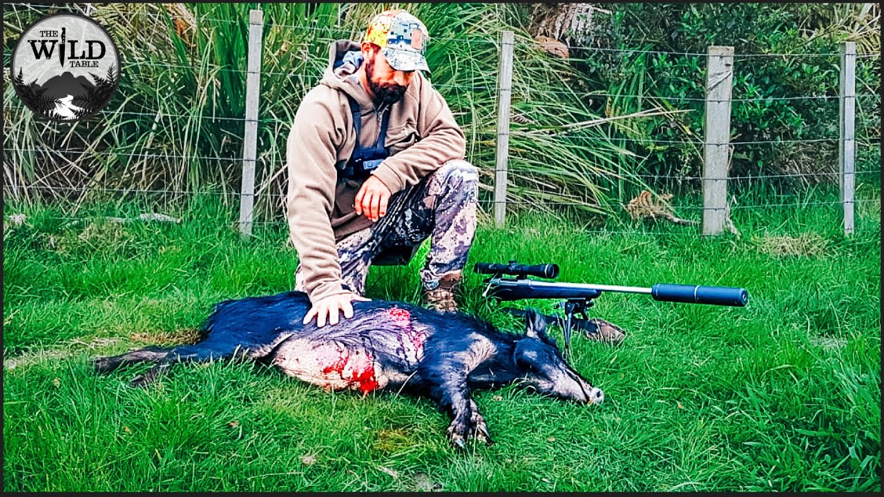 WILD PIG HUNT