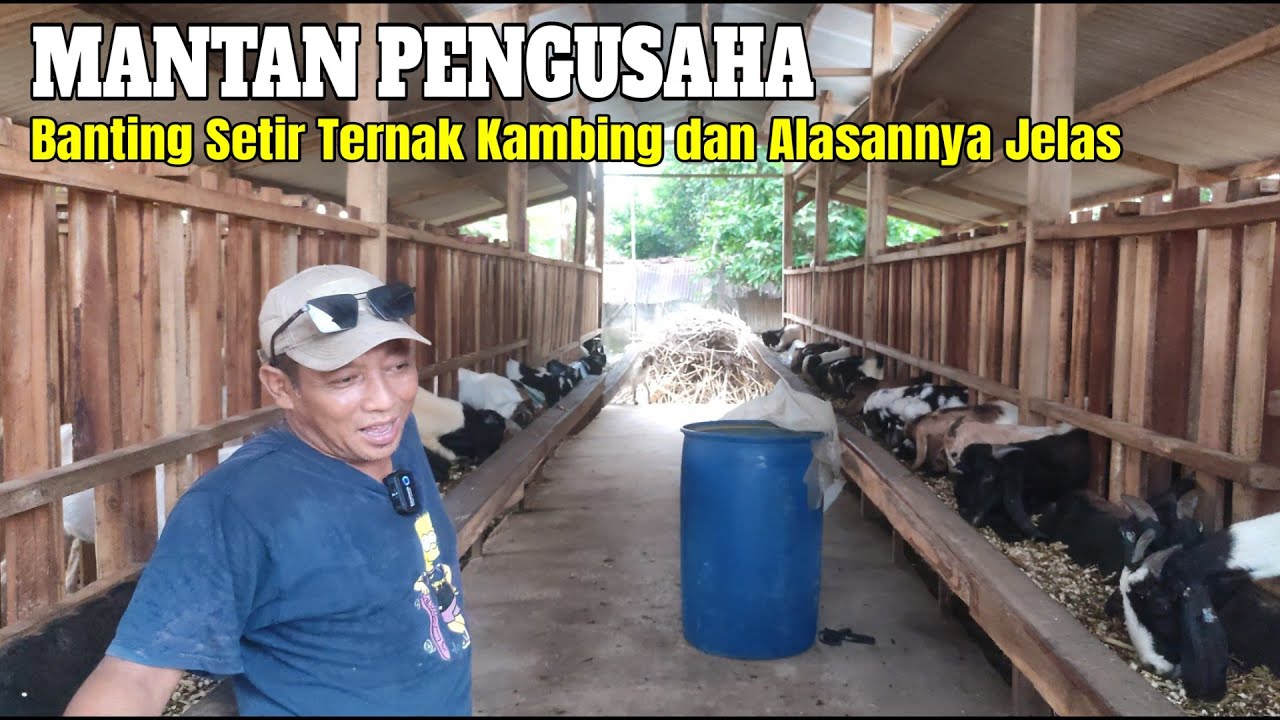 Pak Doni Banting Setir Jadi Peternak Kambing Dan Sudah puas Jadi Pengusaha