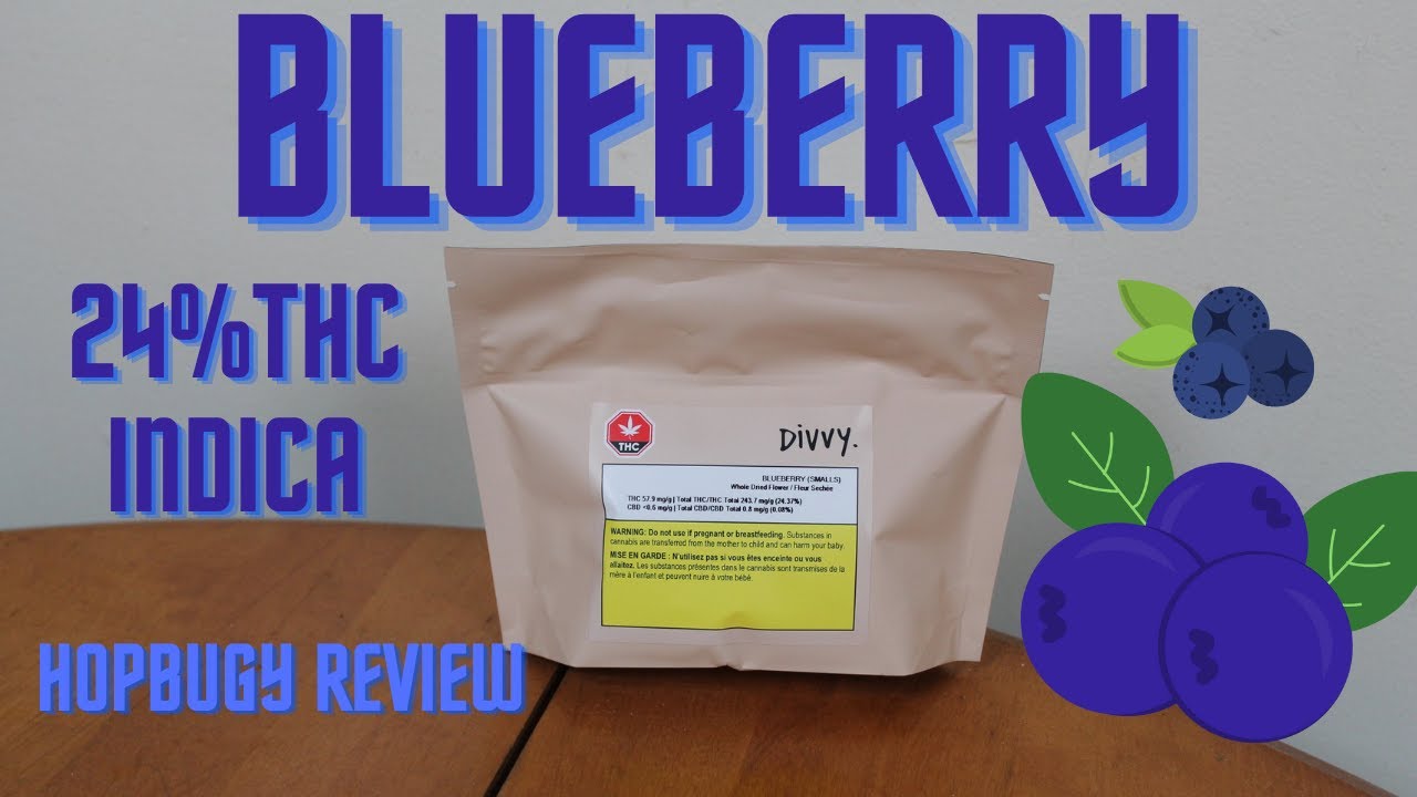 Blueberry Smalls Divvy Indica 24% Thc Cannabis Review