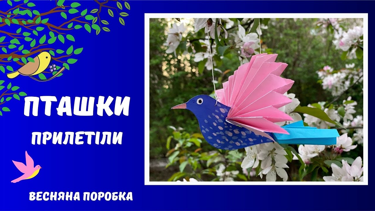 Пташки прилетіли.