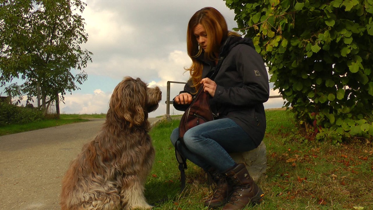 Hundeschule 