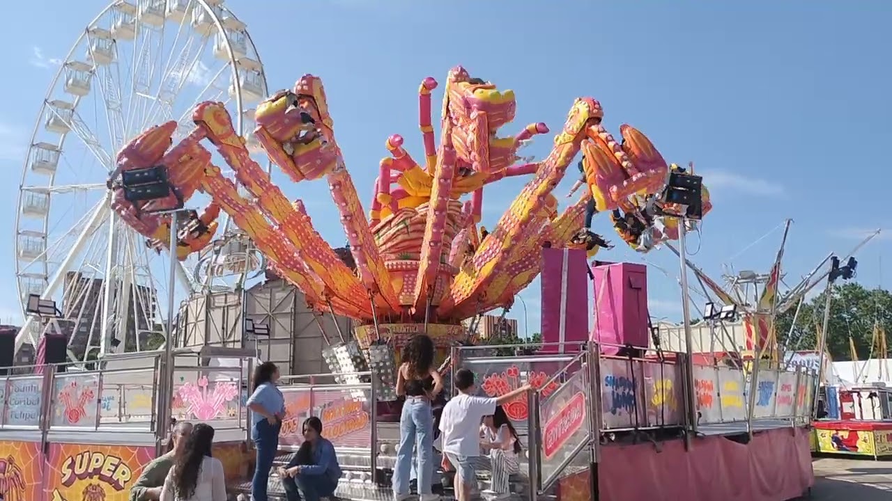 Super tarántula.Feria de San Isidro de Talavera 2025