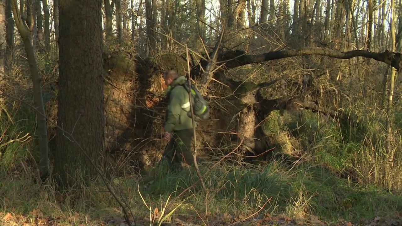Wat doet de provincie aan natuurontwikkeling?