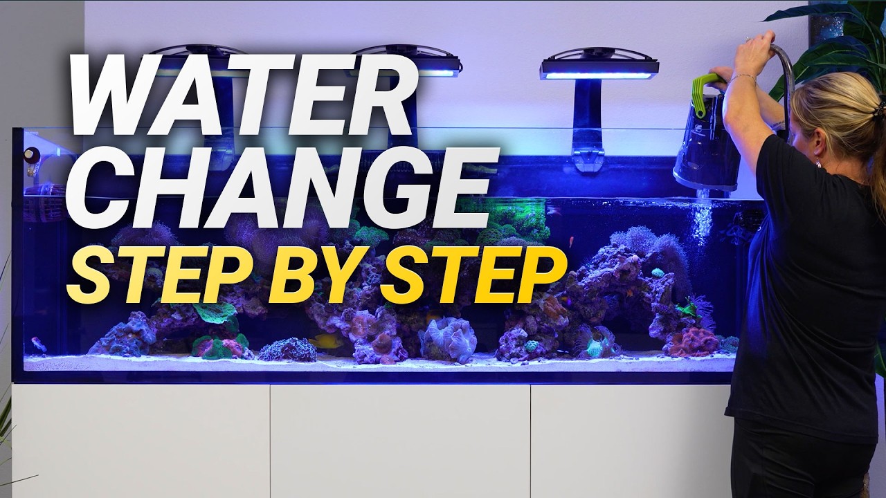 The RIGHT Way to Do a Water Change in Your Reef Aquarium.