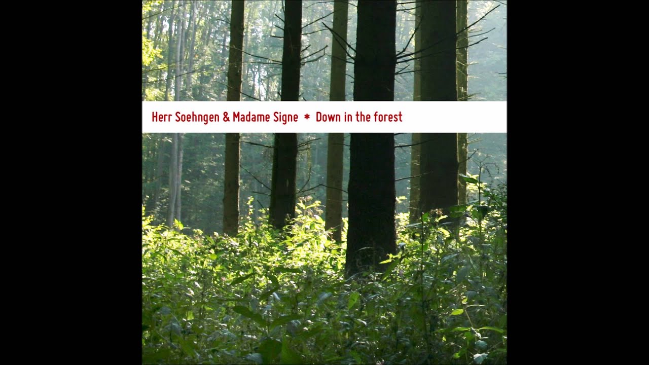 Herr Soehngen & Madame Signe - The One