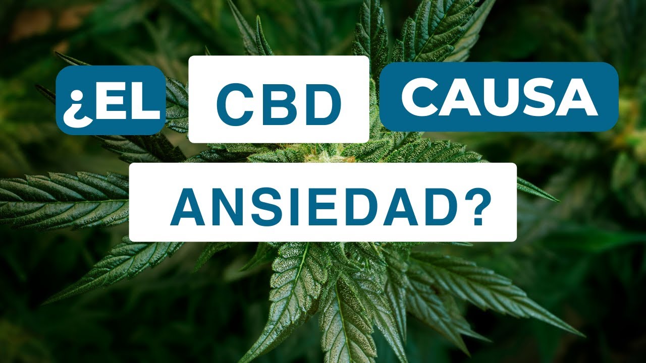 &iquest;CBD Para la Ansiedad?