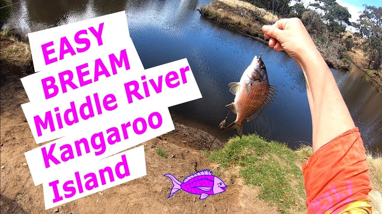 Middle River Bream Fishing on Kangaroo Island, South Australia