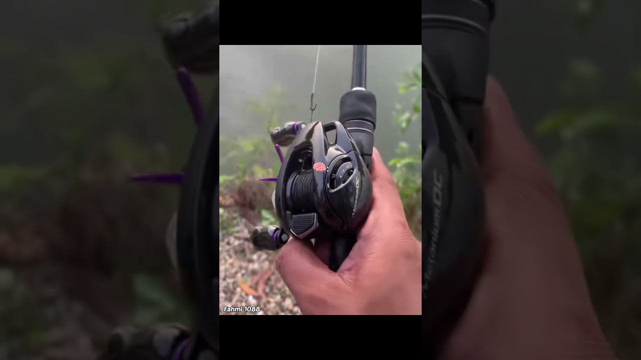 Versi shimano metanium dc 2024 