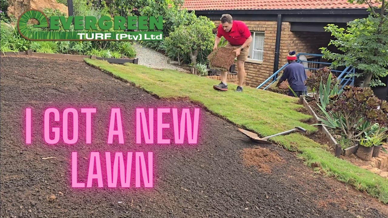 Laying my New Lawn // Evergreen Tif Sport