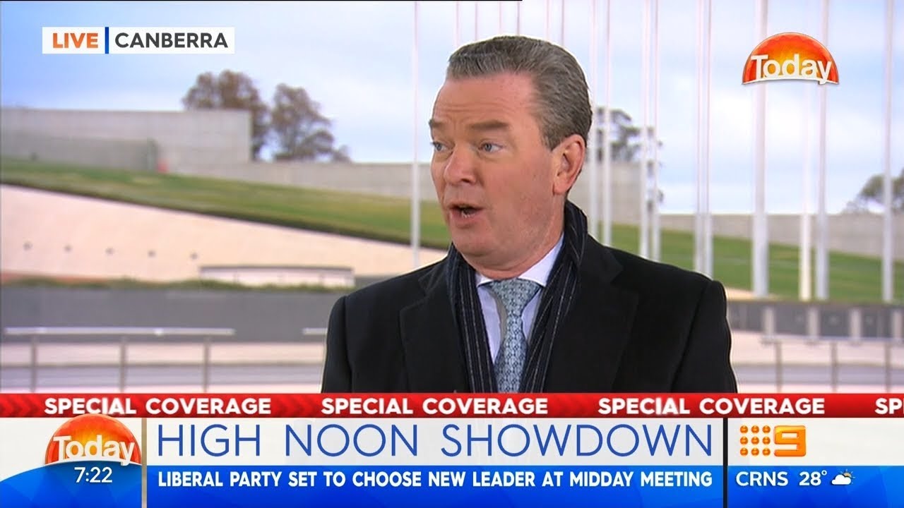 Pyne and Albanese discuss Liberal leadership change
