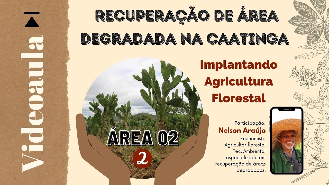 ÁREA 02 (parte 2) - Recuperação de Área Degradada na Caatinga Implantando Agricultura Florestal