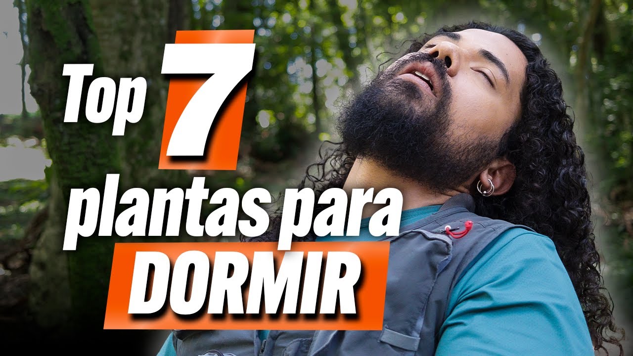 As MELHORES plantas para DORMIR!