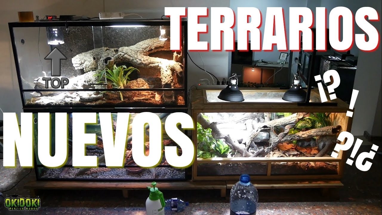 TERRARIOS NUEVOS PARA...🦎🐍🐊🐢🐸?¡🔝