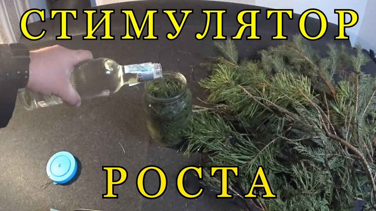 СТИМУЛЯТОР РОСТА - своими руками. Аналог НВ - 101 (hb - 101).