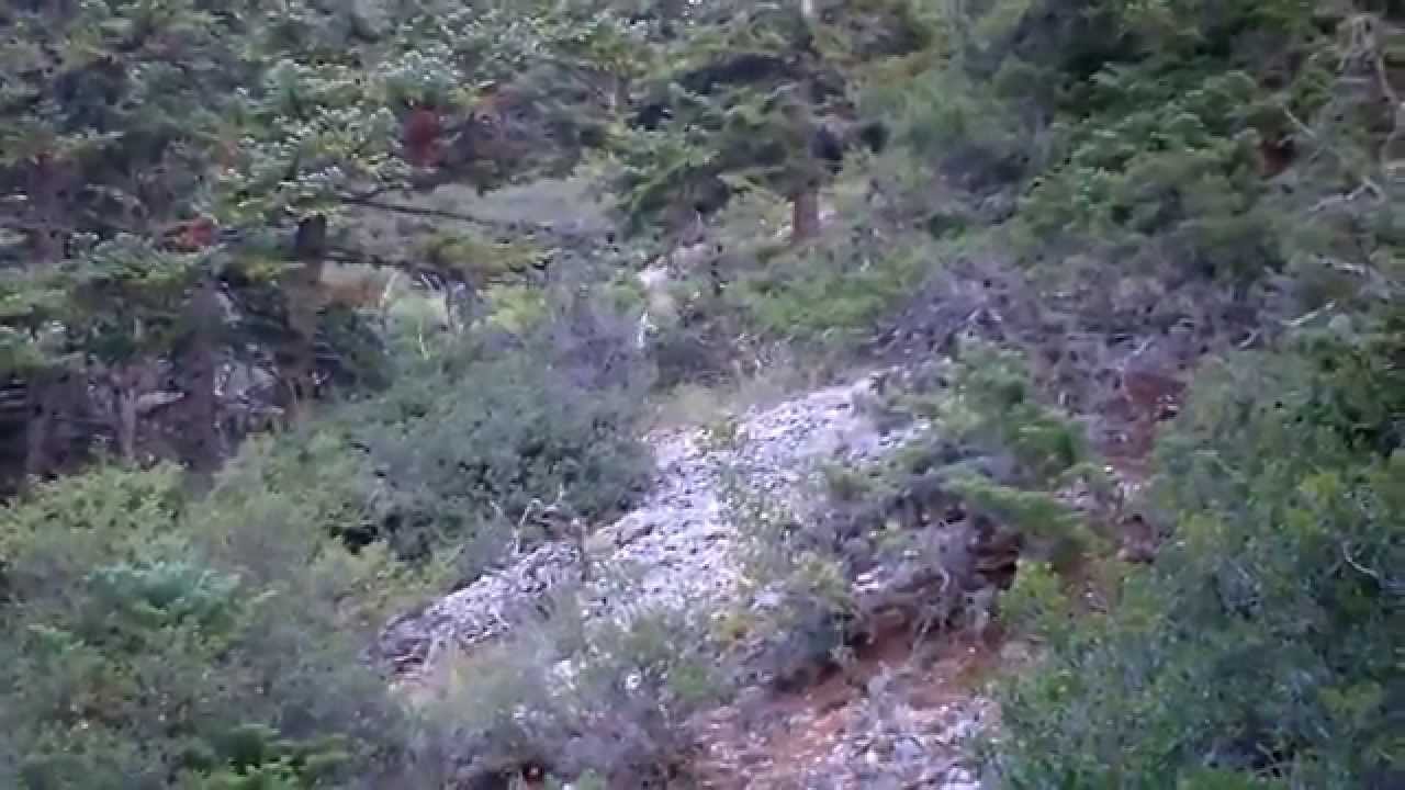 EΞ.ΛΑ.ΤΑΡ ( Εξιχνιαστές Λαγών Ταρσού) #33 (HD)