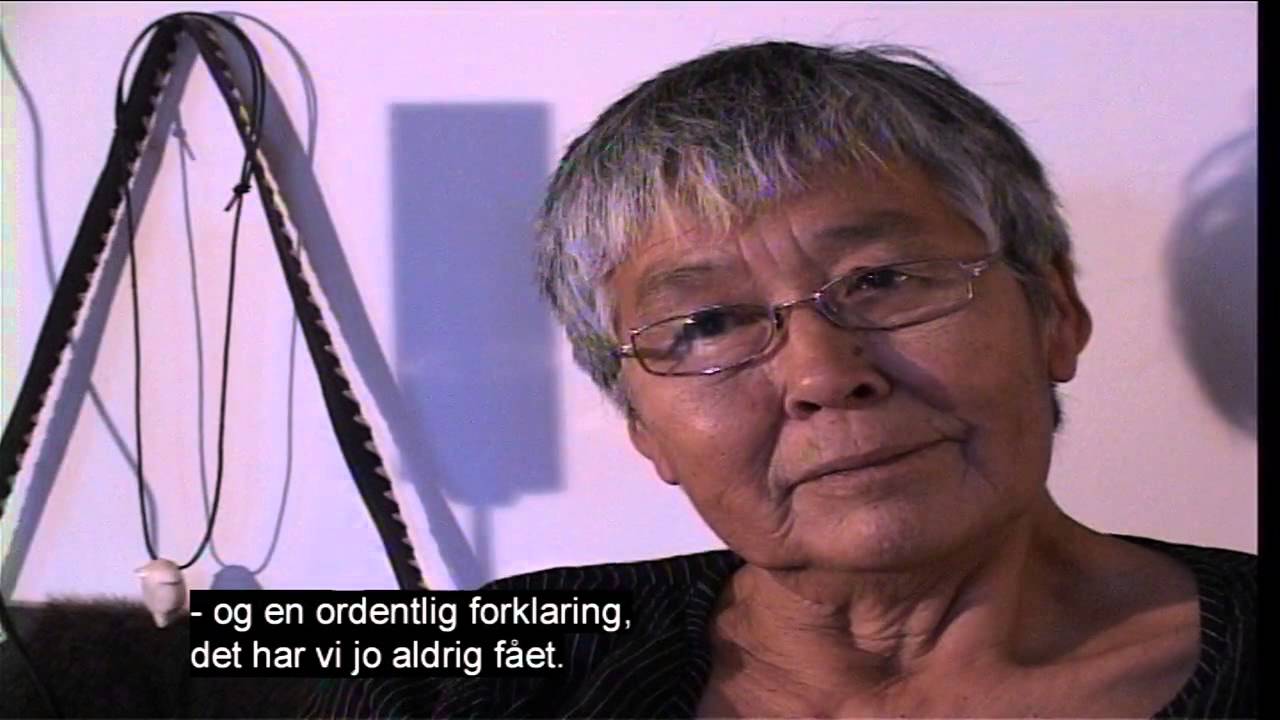 Eksperimentb&oslash;rn f&aring;r undskyldning og Aleqa Hammond-reaktion 221015