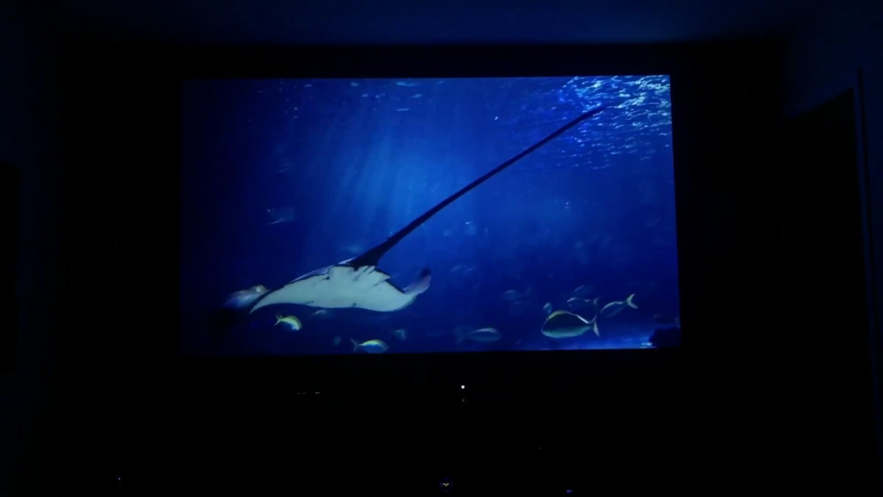4K Home theatre setup 2018 - OPTOMA UHD60