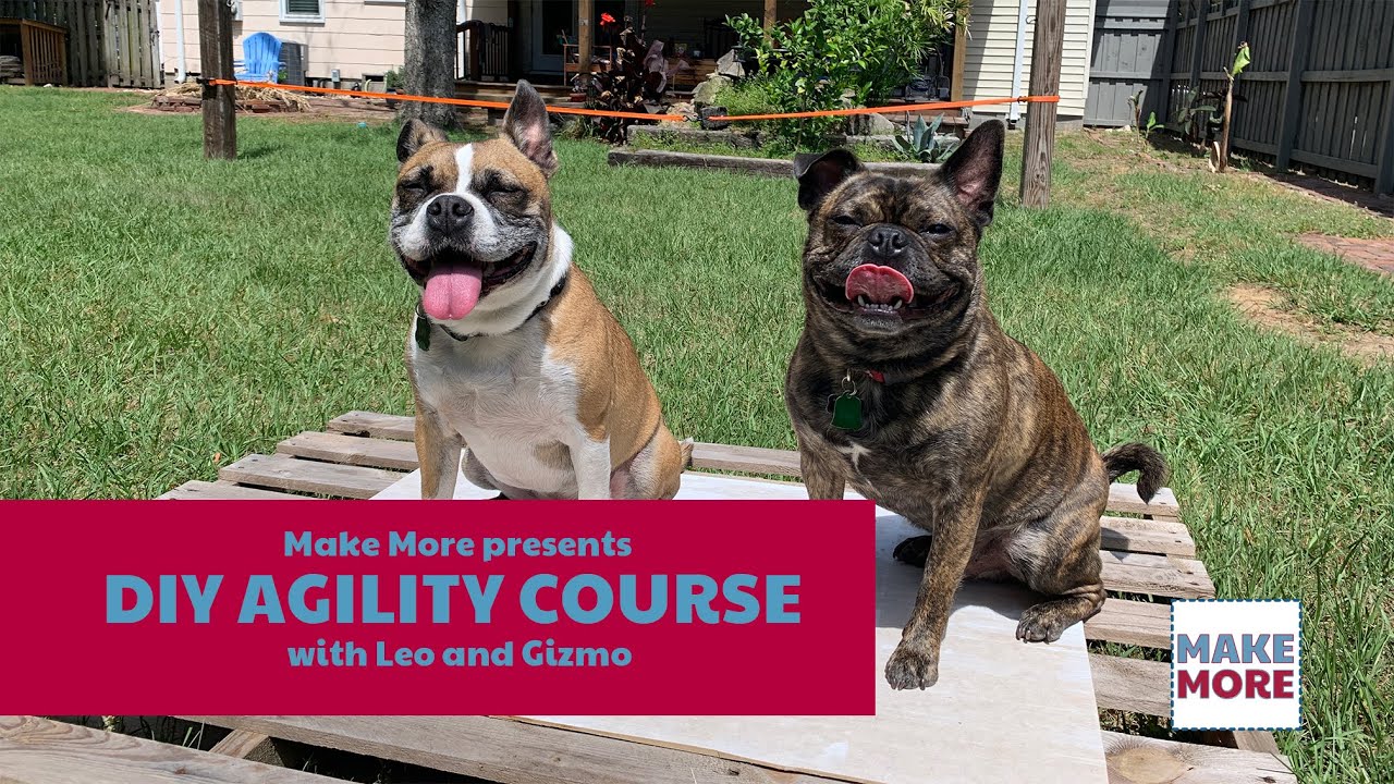 DIY Backyard Dog Agility Course
