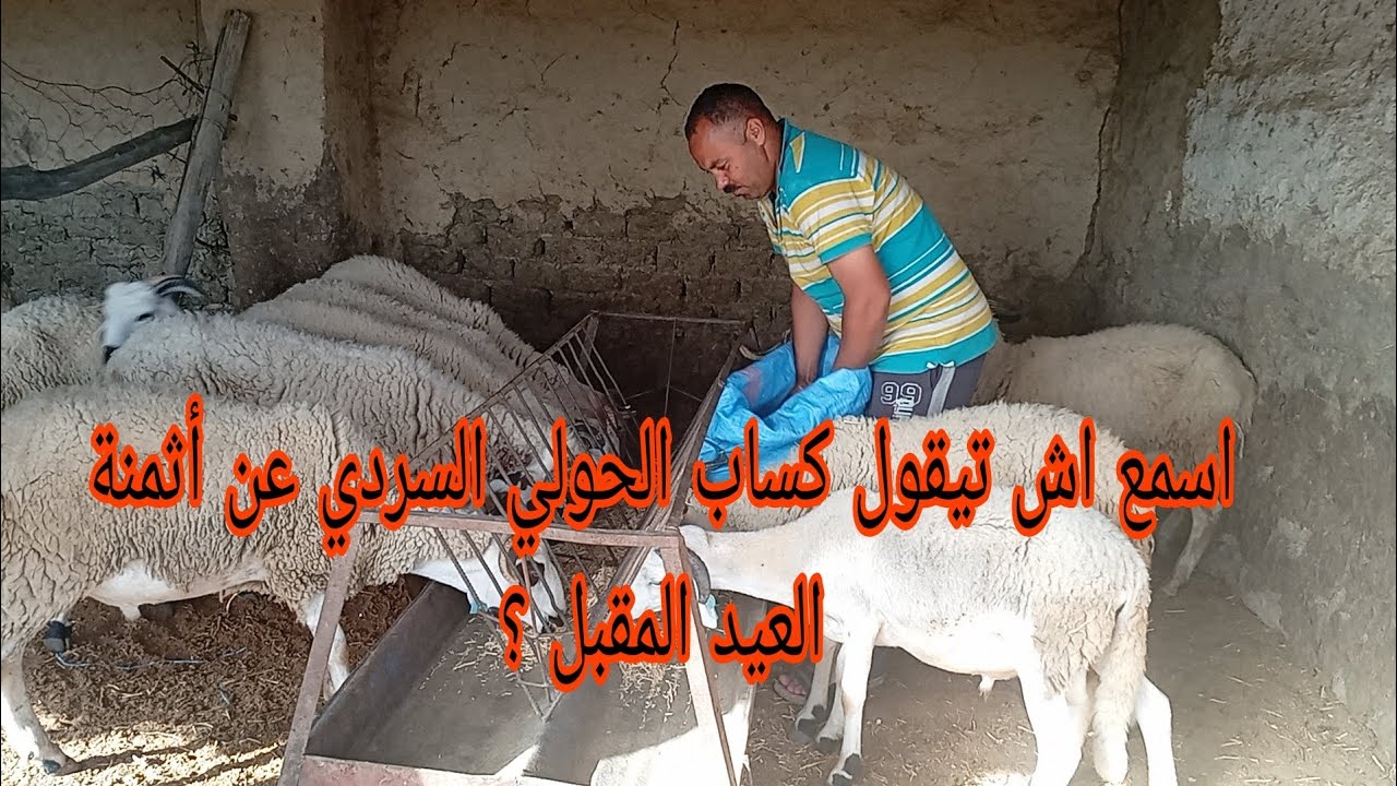 هل ما يقوله هذا الكساب عن أثمنة العيد القادم معقوله 👀