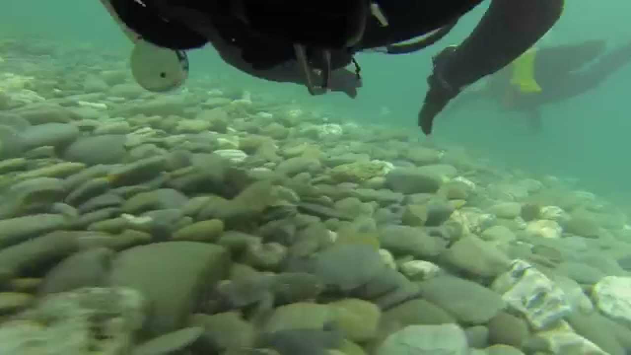 The Fastest River Drift Dive in the World, Clutha River, New Zealand