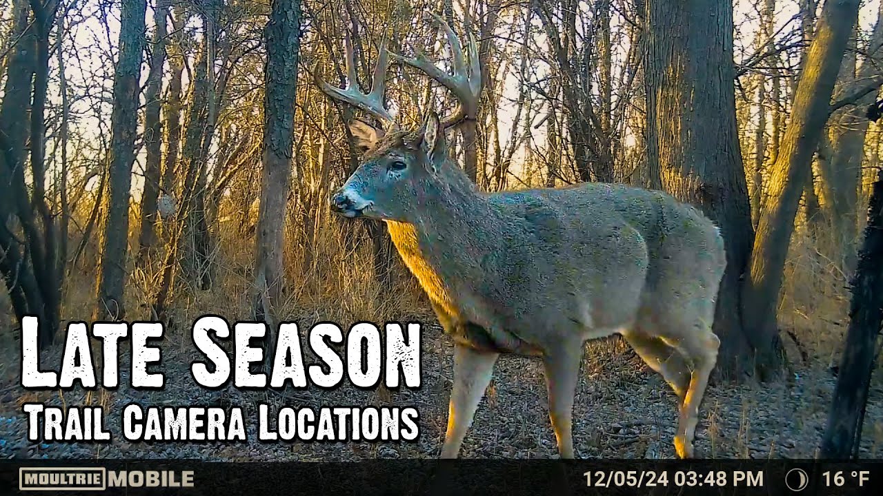 Where to find Post Rut Bucks