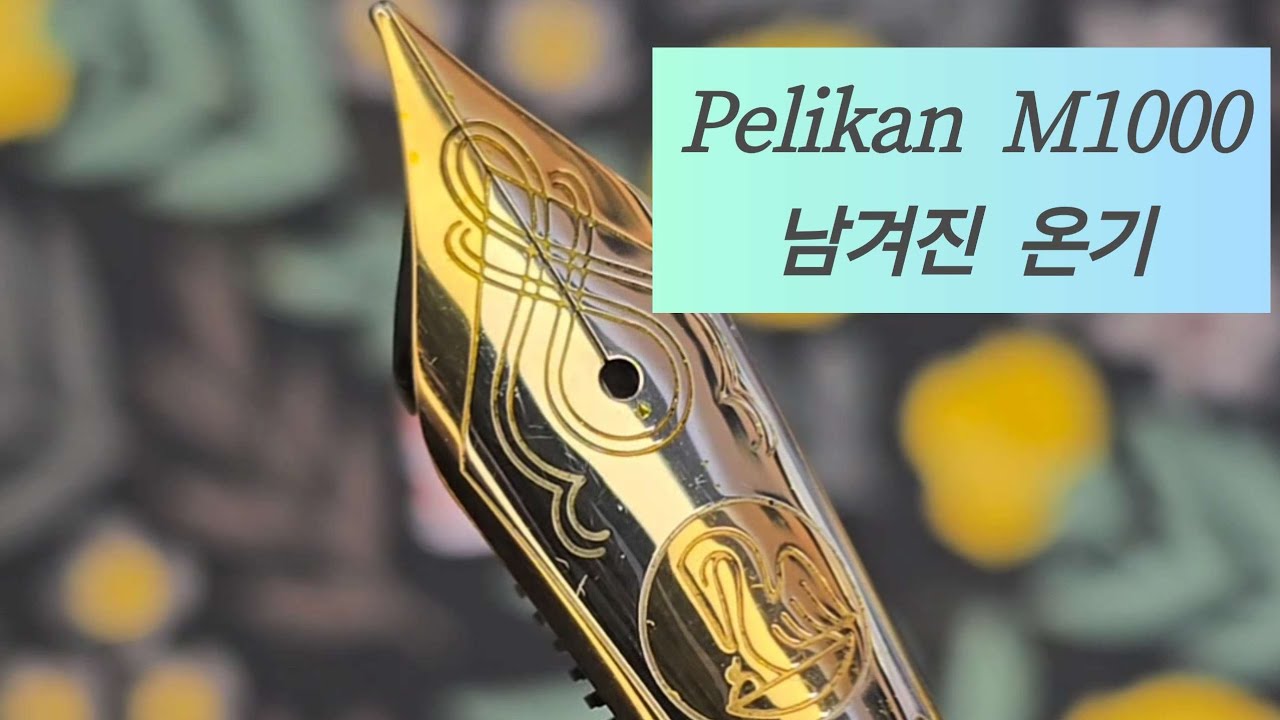 펠리칸 M1000 - 최고의 만년필 
