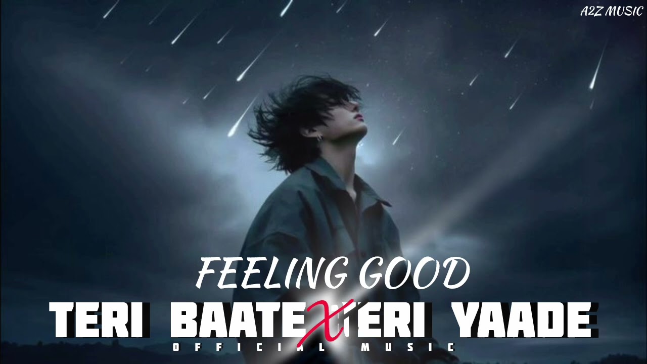 Teri baate Teri yaade ( full song ) feeling good love song 