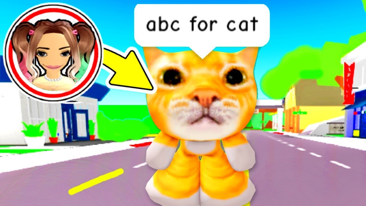 I Became A CAT in Brookhaven!🤣