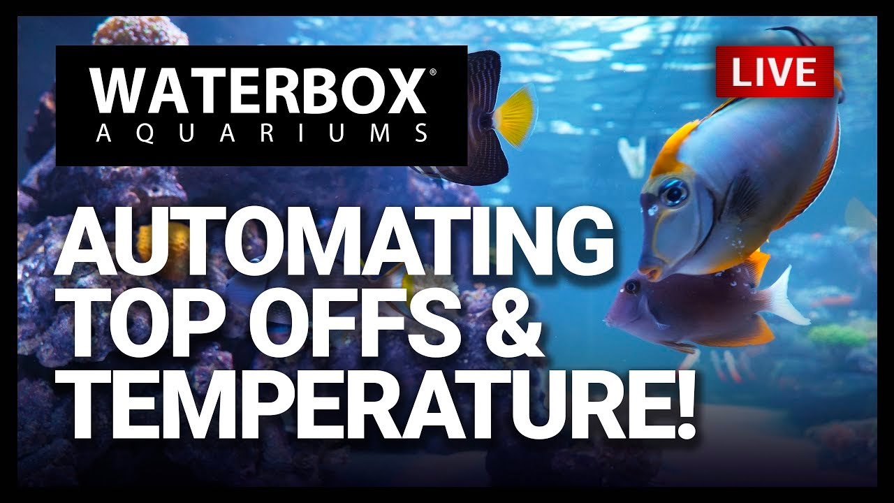 EP15 | The Importance of Heaters and ATOs in Reef Aquariums.  A Guide to Large Reef Aquariums.