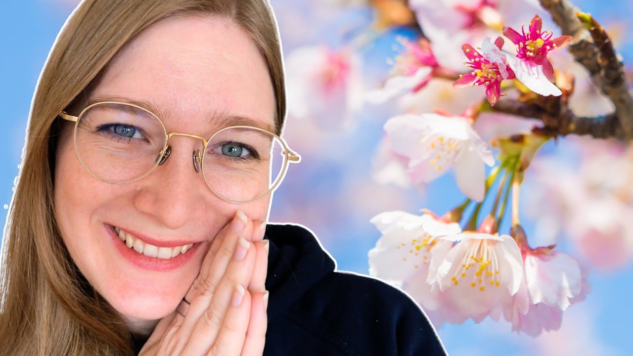 Kirschbl&uuml;tenzeit in Japan 2026 &ndash; Wann und wo du die Kirschbl&uuml;te am besten genie&szlig;en kannst!