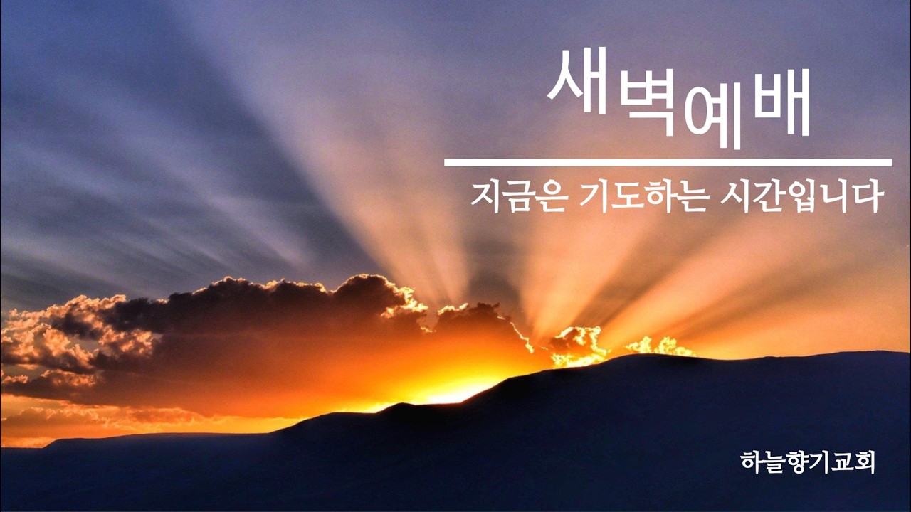 [실시간] [하나님의 자녀는 어떤 사람인가?] 2026년 2월 11일 새벽예배 / 박평열 담임목사