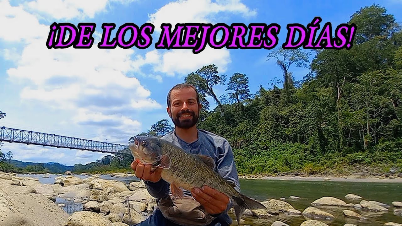 De pesca en el 2° río más grande de Costa Rica #ríoreventazón @tiendadepescacuba1187