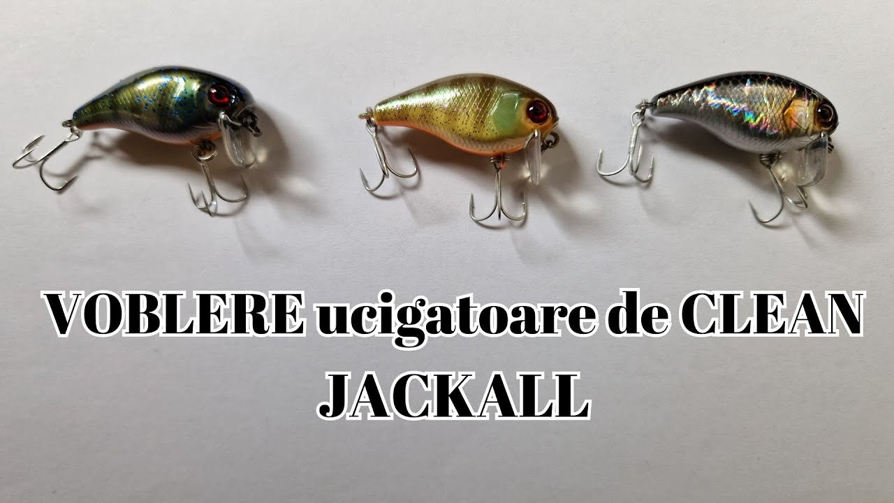 Naluci EXTRAORDINARE de pescuit la CLEAN , PASTRAV si BIBAN  Voblere si rotative @BigFish  #pescuit