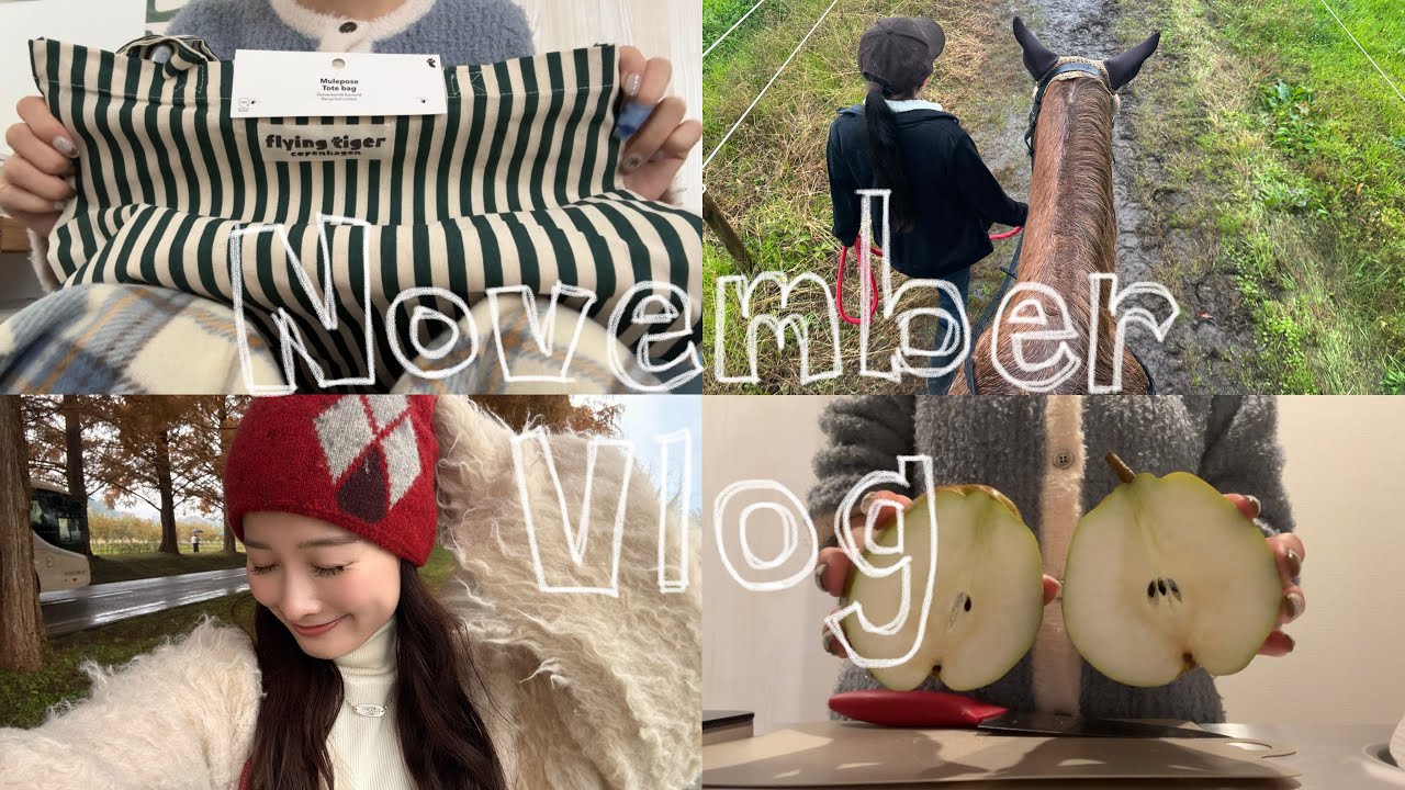 【November Vlog】フライングタイガー購入品🎄|乗馬体験🏇|紅葉狩り🍁etc...🐈🧶