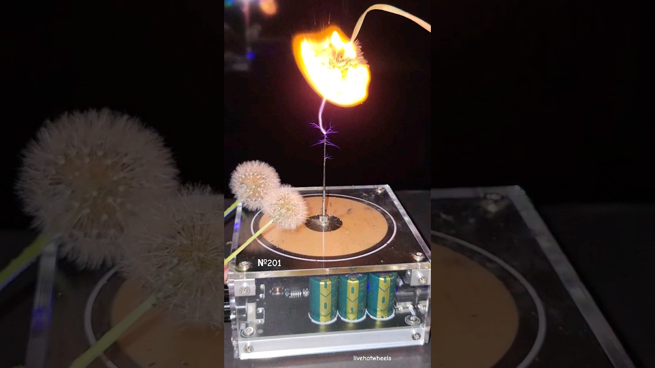 🔥 Music Tesla Coil experiment #fire #flower #lightning #teslacoil