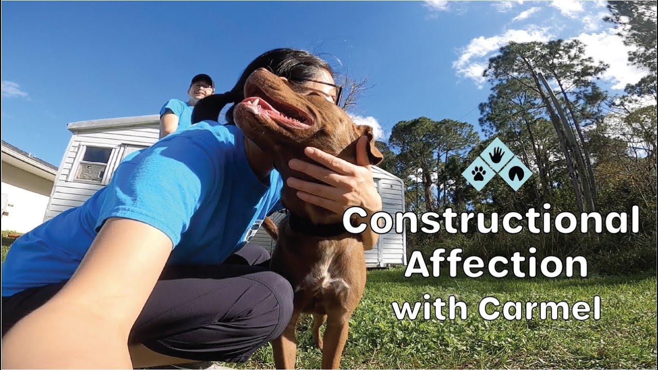 Constructional Affection with Carmel