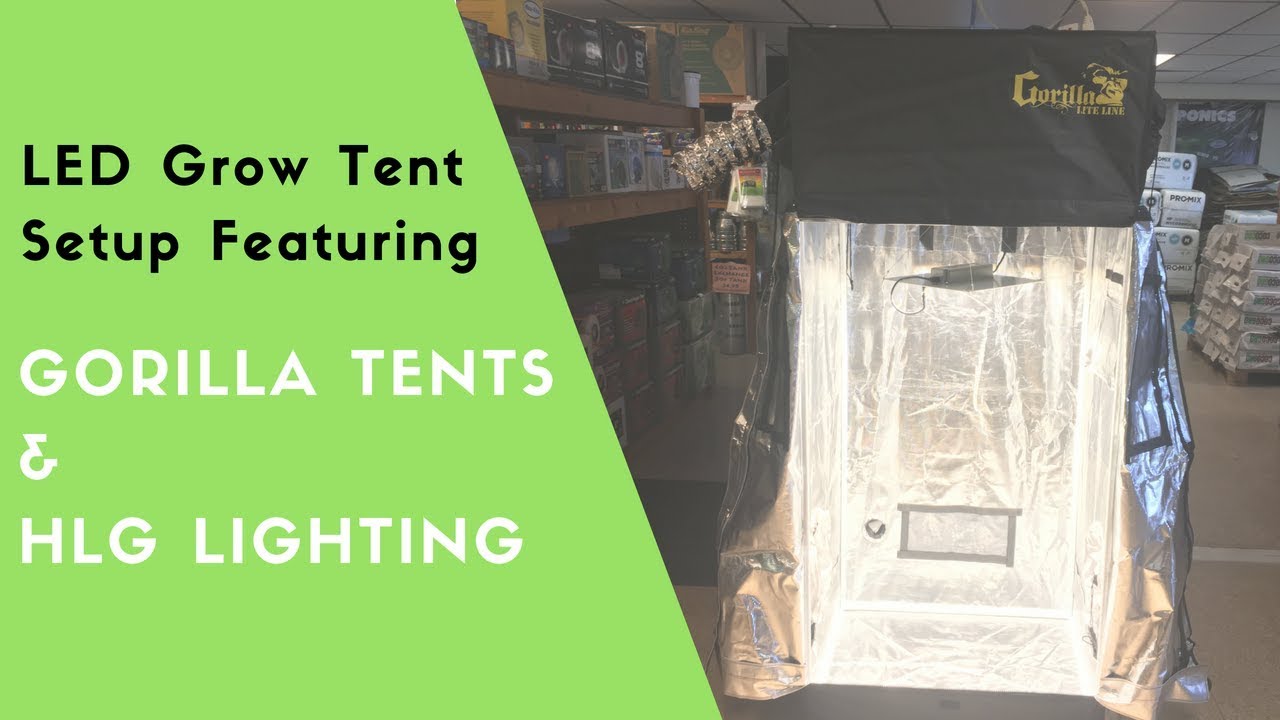 Tips on Setting up a Gorilla 2x2.5 Grow Tent with HLG 100