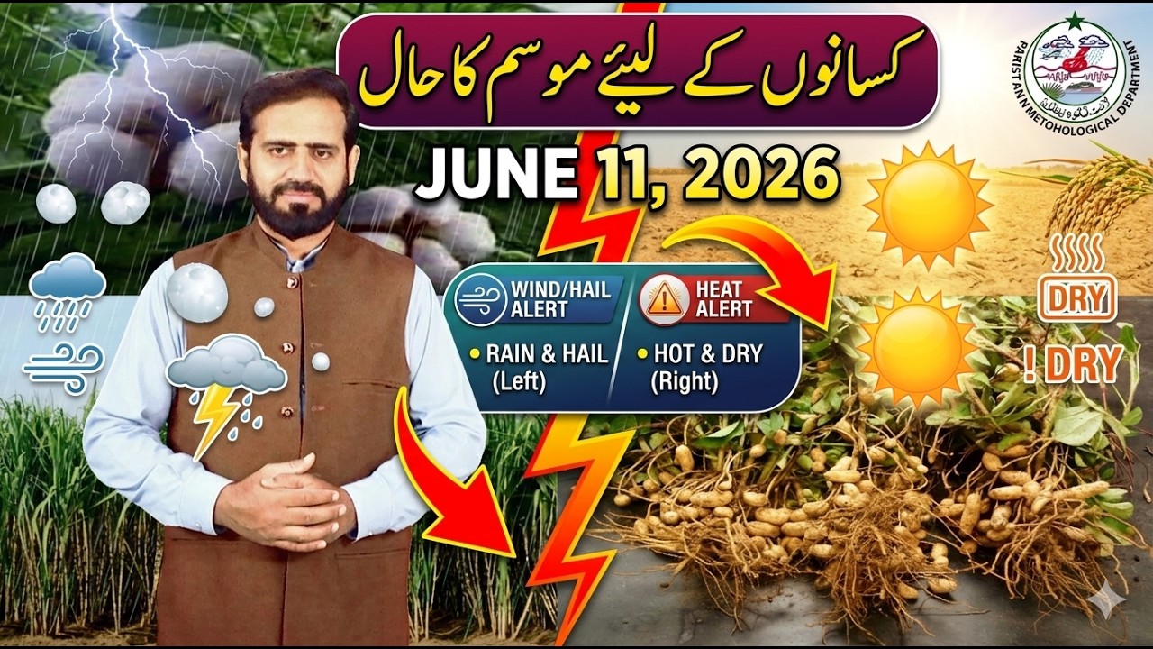 Farmers Weather Forecast & Agriculture Advisory | Rain, Thunderstorms & Hail Alert | 11 June 2026