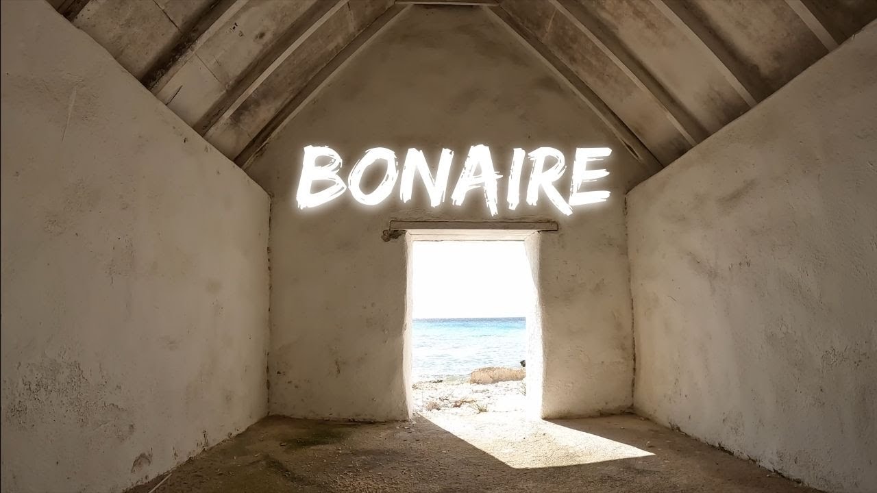 BONAIRE: The Diving Paradise With The Darkest Secret 🇧🇶