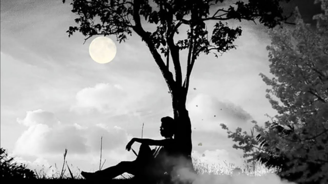 Janebar Aage bujeber Aage | জানেবার আগে,বুজেবার আগে | Chakma Song | by Paltu Chakma