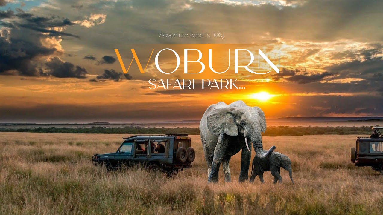 Best Tourist Place in London Woburn Safari Park | Full Tour with Car | UK Travel Vlog | Summer Time