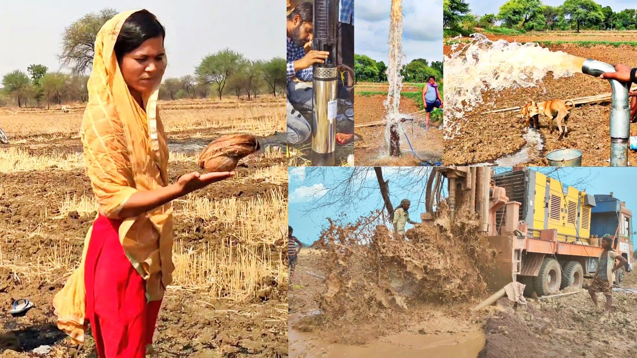Borewell Drilling 20 Hp Water With Coconut water checking method | Borewell water | Borewells video