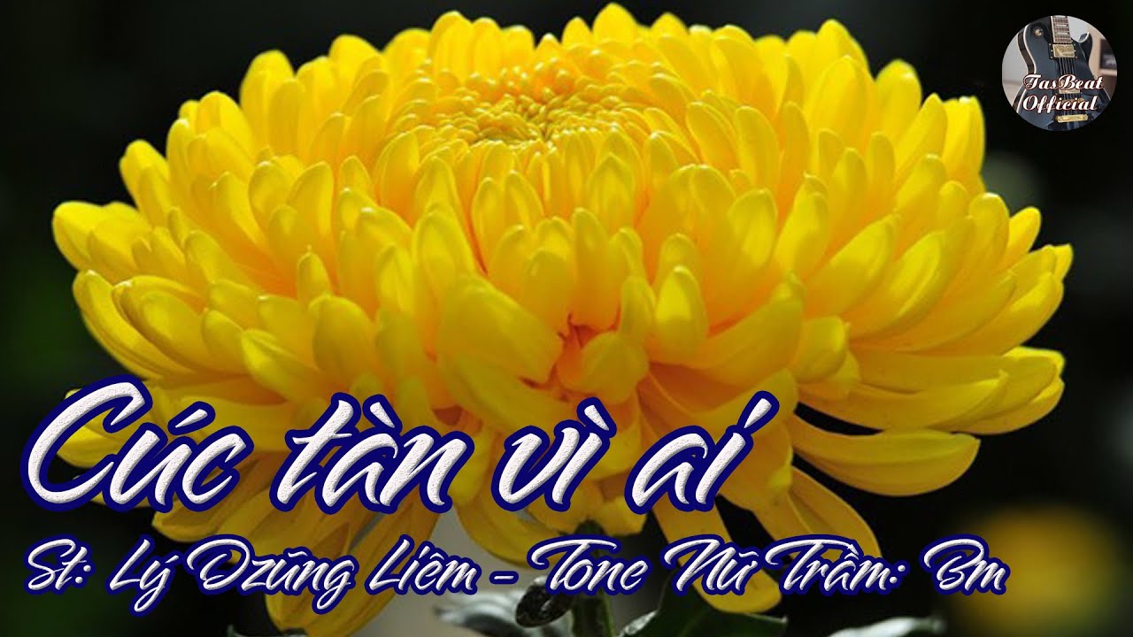 Karaoke Cúc Tàn Vì Ai Tone Nữ Trầm | TAS BEAT